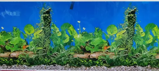 [BYJ19-J33-40CM] Boyu Plastic Double Sides Background Paper 15mLength: 40cm