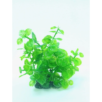 [CLIPBYAT-006] Boyu Plant ClipperLength: 70cm 