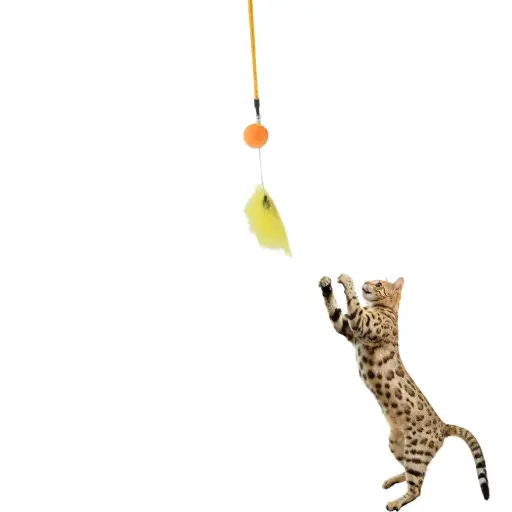 [JYD006-2] Catry Cat Toy-Cat Wands 