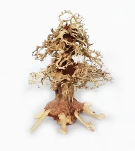 [CS-DR08-18O-L] Chicos Natural Bonsai Aquarium Tree (DR08-18O)[Dimension - 20x25x15cm]