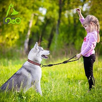 [DCROPE5020-06L] DOCO Reflective Traffic Rope Leash - Click & Lock Snap - 20 inch (Large)-DCROPE5020Color: Purple