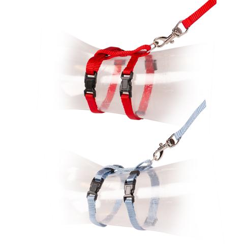 [LR11199] Duvo Cat Walking Set Uni Mixed Colors 20 - 35cm / 10mm - 125cmDimension: 20-35cm x 10mm 