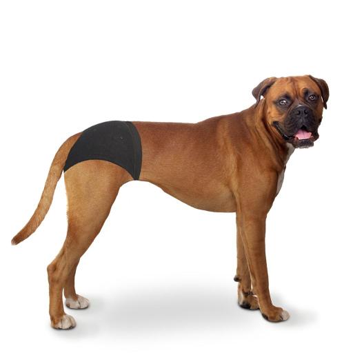 [LR4705125] Duvo+ Dog Pants 24-31cm / 32 - 39cm  / 40 - 49cmLength: 40 - 49cm 