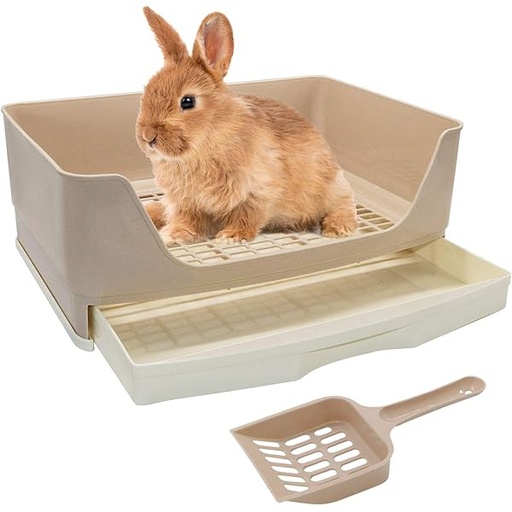 [LR13660] Duvo+ Rubber Toothbrush Animals 4x4x11cm Mixed Colors 