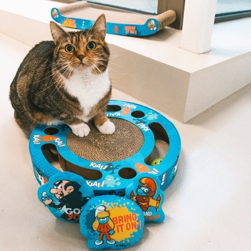 [LR13639] Duvo+ Smurfette Scratcher & Toy 33x33x5,5cm 