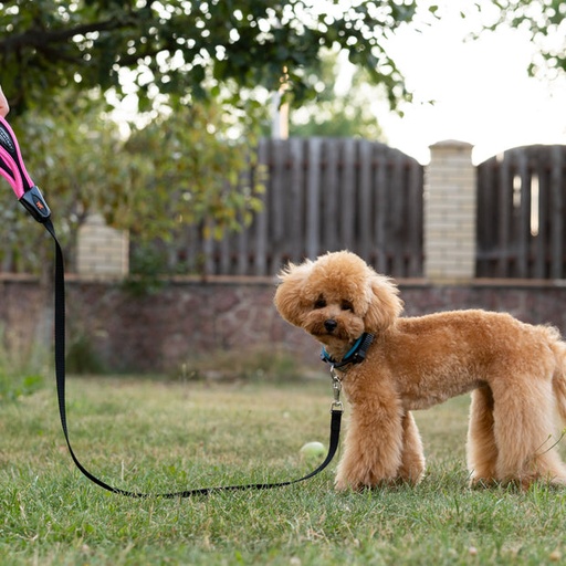 [75448628] Ferplast Ergocomfort G LeadColor: Silver, Dimension: 15mm x L 120cm