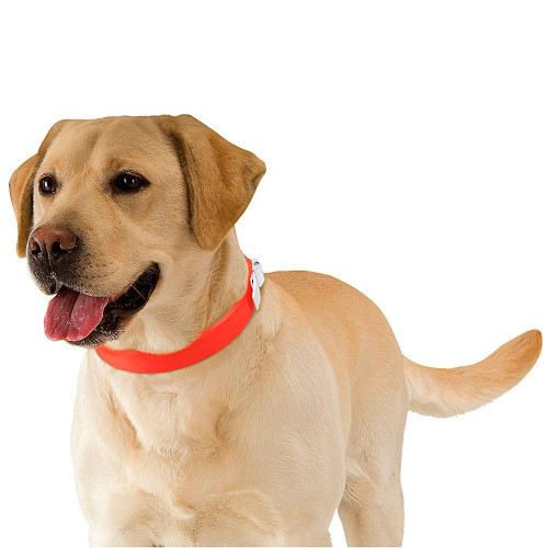 [78001117] Ferplast Ergoflex C22-42 Collar Green-106Color: Black, Dimension: 52-60cmx28mm