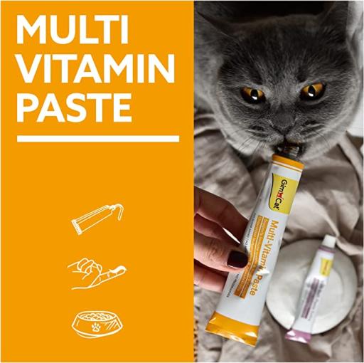[4002064401379] GIMCAT TRIAL TUBE MULTI-VIT. 20 GR 