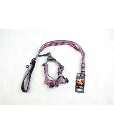 [17121926] Golden Panda - Leash, Harness & Collar Set - 25mm x 60-90cm + 15mm x 120cm