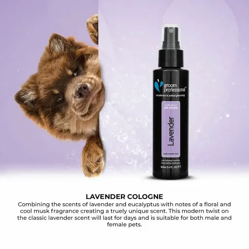 [GP843146] Groom Professional Lavender CologneVolume: 200ml 
