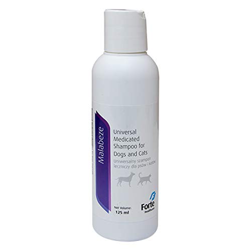 [GP842060] Groom Professional Tea Tree Oil ShampooVolume: 4 litre 