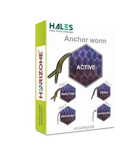 [8904406372322] Horizone Hales Anchorworm 10 Capsule 