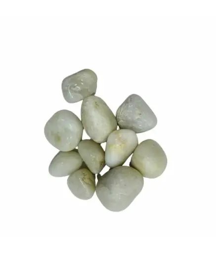 [INDP25KG-PS1] Indian Stone Aquarium Pebbles - Stones - Rocks - Gravel - PS1 - 25 KG 