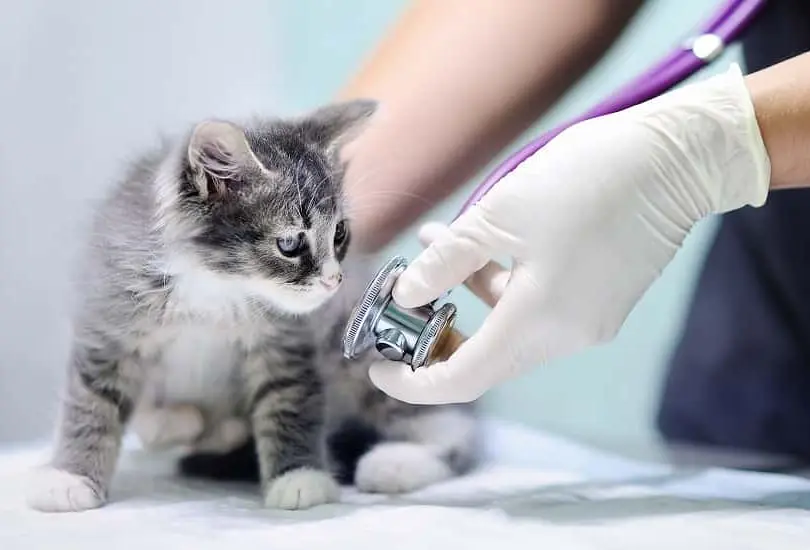 [APSAS-111] KW Zone Astro Air Pump AS-111