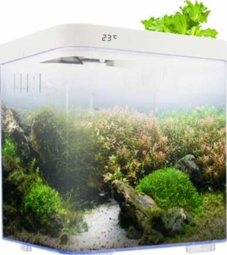 [BT119-T] KW Zone Dophin 7L Mini Betta Tank Kit with Temperature Display