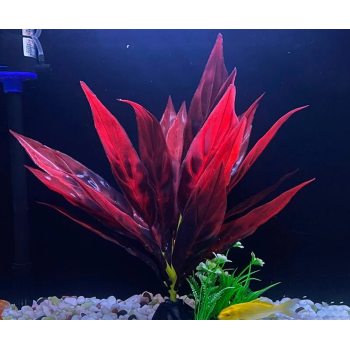 [FN6] KW Zone Fish NetLength: 15cm