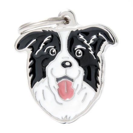 [MF03N] MY FAMILY BORDER COLLIE 