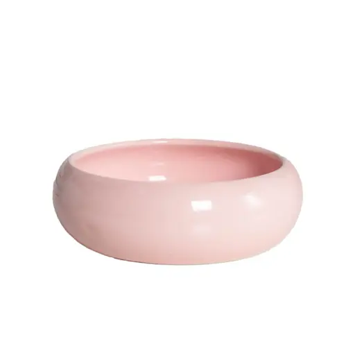 [PB13446] PETBROO GLOSSY CERAMIC BOWL 12.4*5CM