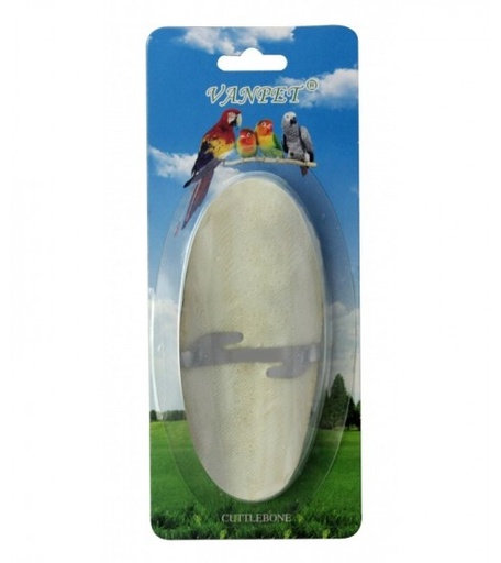 [BTLB00722] Pado Cuttle Fish Bone - 15x6 cm