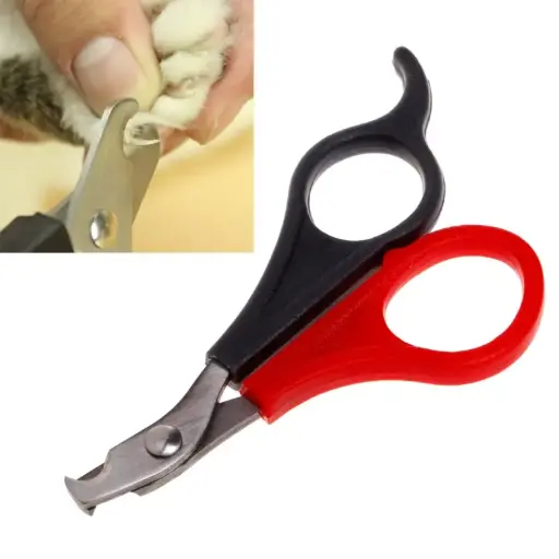 [BTLB02088] Pado Double Colourd Bird Clipper - 10x6 cm