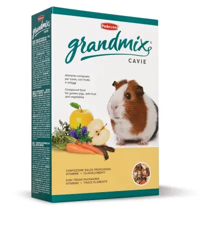 [PP00190] PadovanCavieGrandMix-850gm-GuineaPigFood