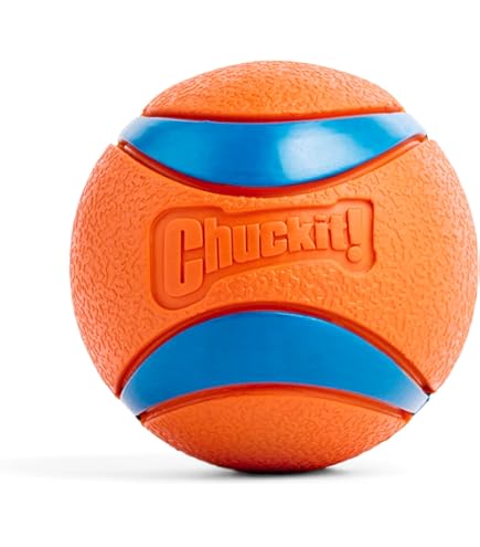 [PP00376] Padovan Thick point ball Dog Toy (Size L, Ø11cm) - Dog Toy