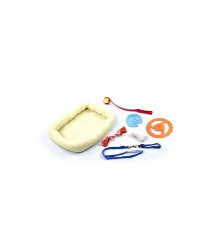 [PDB110] Paw Pals Dog Gift Box 8 In - Dog Starter Kit