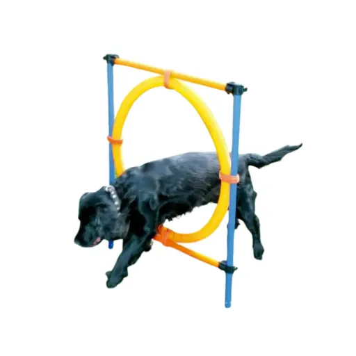 [PDB103] Pawpals Aglt Dog Training Ring 117x10x10cm