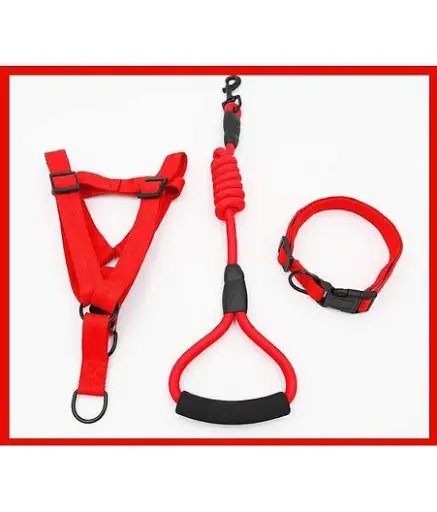[PB11017009] Petbroo Harness With Leads 1.0 x 120cm