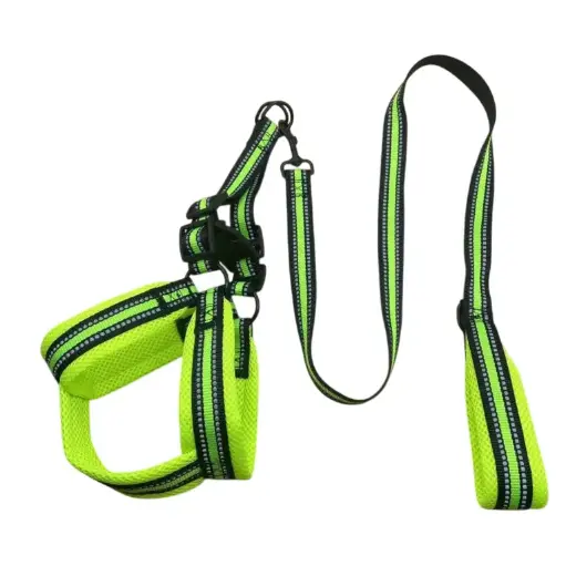[PB11017006] Petbroo Harness With Leash 1.5 x 120cm