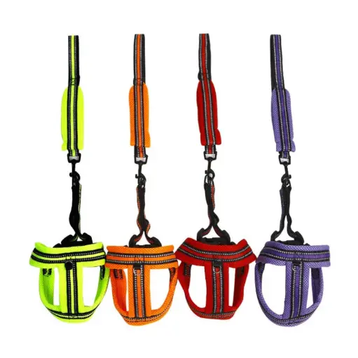 [PB11017008] Petbroo Harness With Leash 2.5x120cm