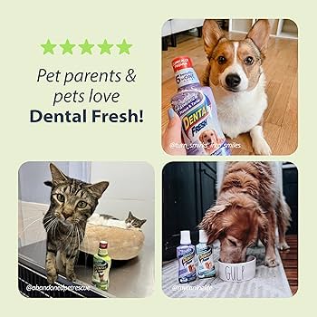 [FG00010] Synergy Labs Dental Fresh Original Formula For Cats 237mlVolume: 237ml 