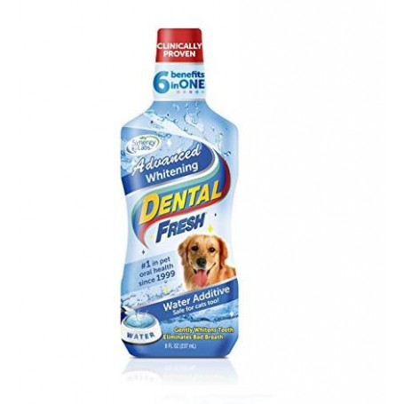 [FG00423] Synergy Labs Whitening Dental Fresh - Dog 237 mlVolume: 237ml