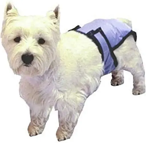 [794219190255] Pooch Pad Pooch Pants Reusable Diaper Large Grand (20"-27")
