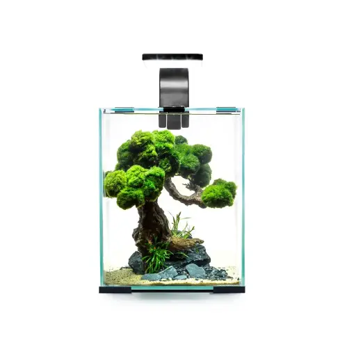 [AQ123260] Aquael Shrimp Set Smart Black-Day & Night Volume: 10L