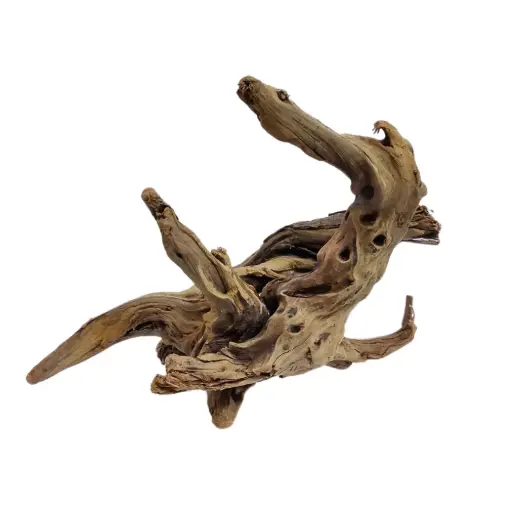 [AL-TTWD] Aqualife Natural Thorn Tree Wood Aquarium Decor - Per Kg