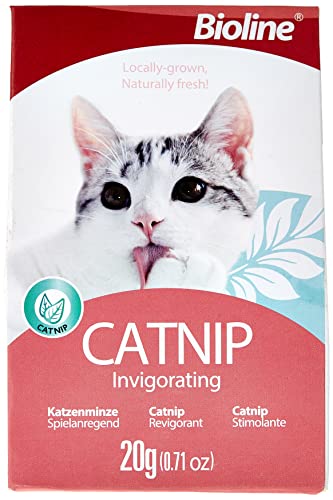 [6970117120370] Bioline Natural Catnip for Cats - 20g Loose Play Stimulant & Toy Enhancer
