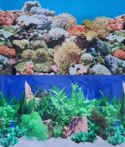 [BYJ54-J61-60CM] Boyu Plastic Double Sides Background Paper 60cm x15m