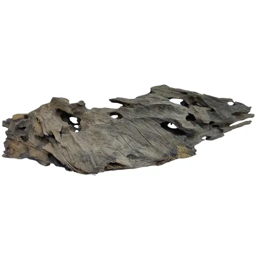 Aqualife Honeycomb Wood - Premium Natural Hardscape for Aquariums -1pc