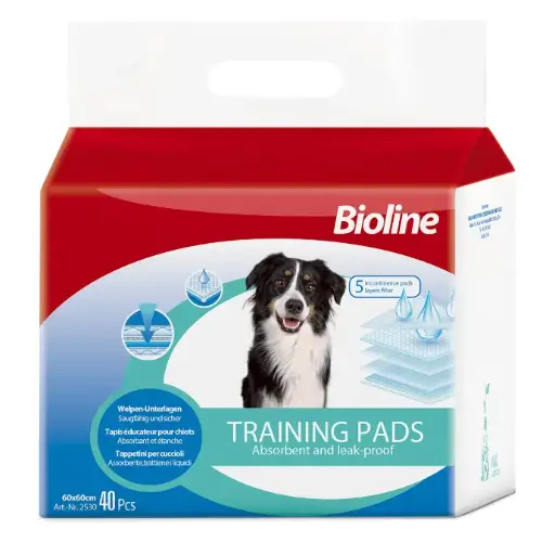 Bioline Training pads 60x60cmCount: 40