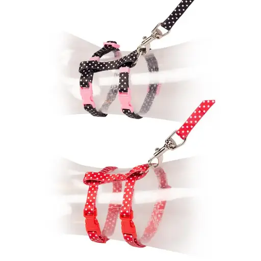 Duvo+ Kitten Walking Set White Dots Black/Red 15-25cm / 8mm-125cm