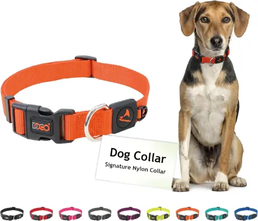 [DCSN002-S8XL] DOCO Signature Nylon Collar (DCSN002)[Size - XL, Color - Safety Orange]