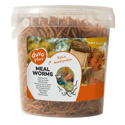 [LR431006] Duvo Meal Worms Bucket 200gWeight: 200g