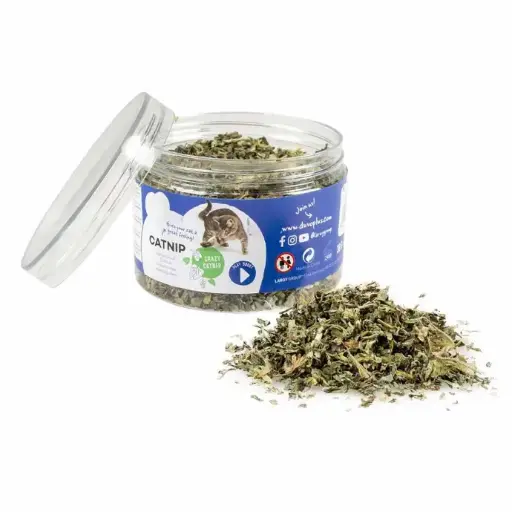 [LR471601] Duvo Catnip Herb 30 gWeight: 30g